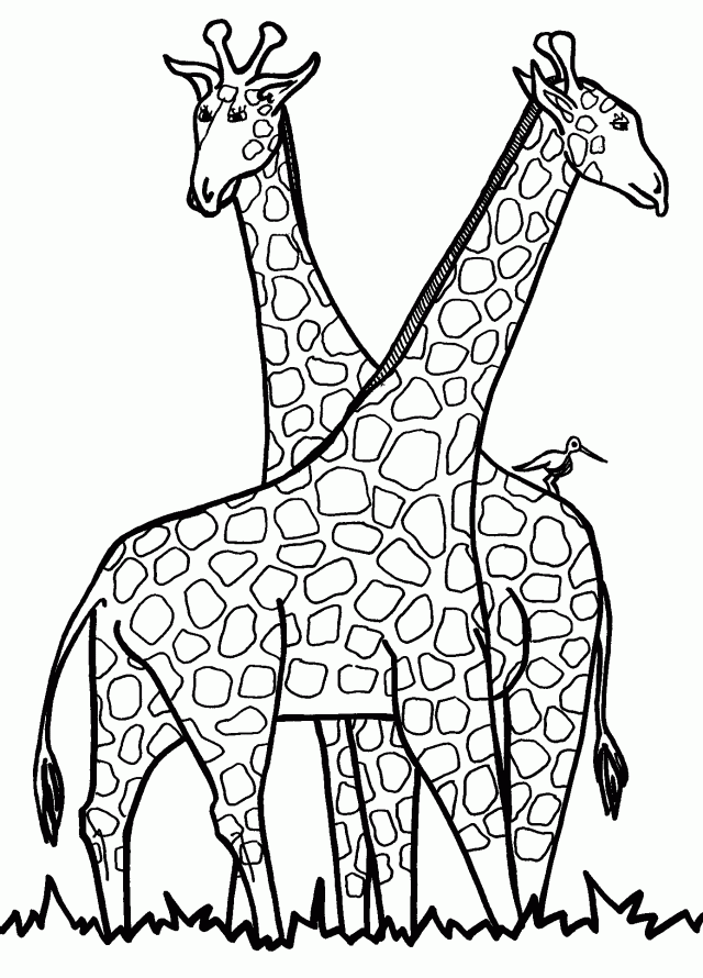 Giraffe Coloring Sheet 5