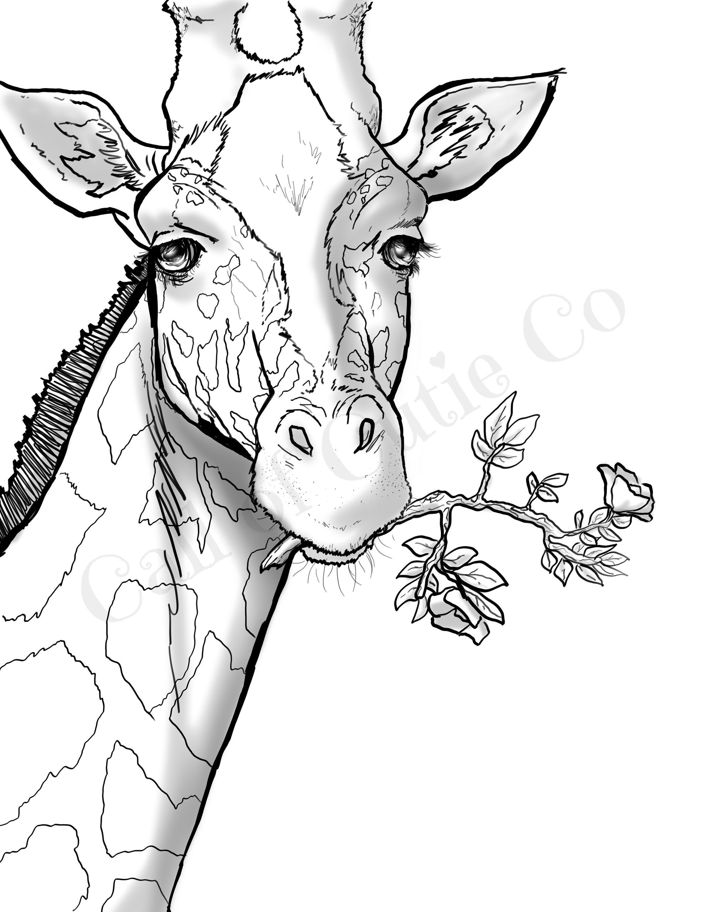 Giraffe Coloring Sheet 51