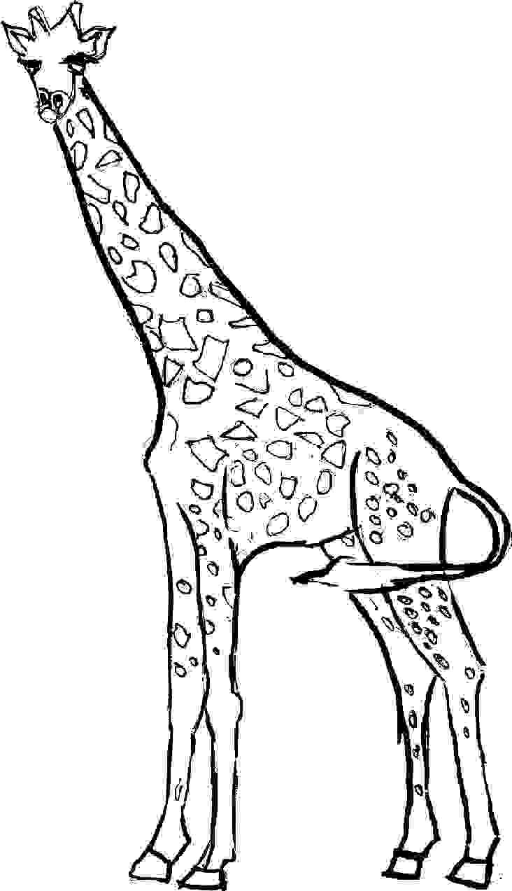 Giraffe Coloring Sheet 55