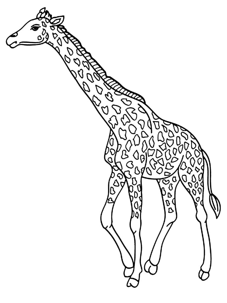 Giraffe Coloring Sheet 79