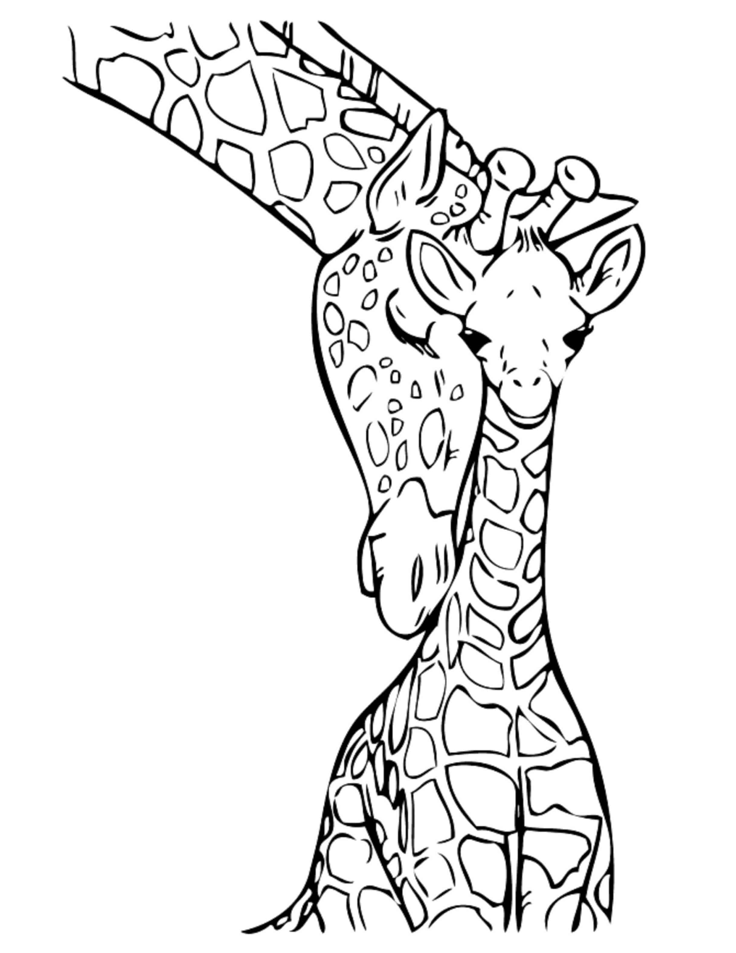 Giraffe Coloring Sheet 84