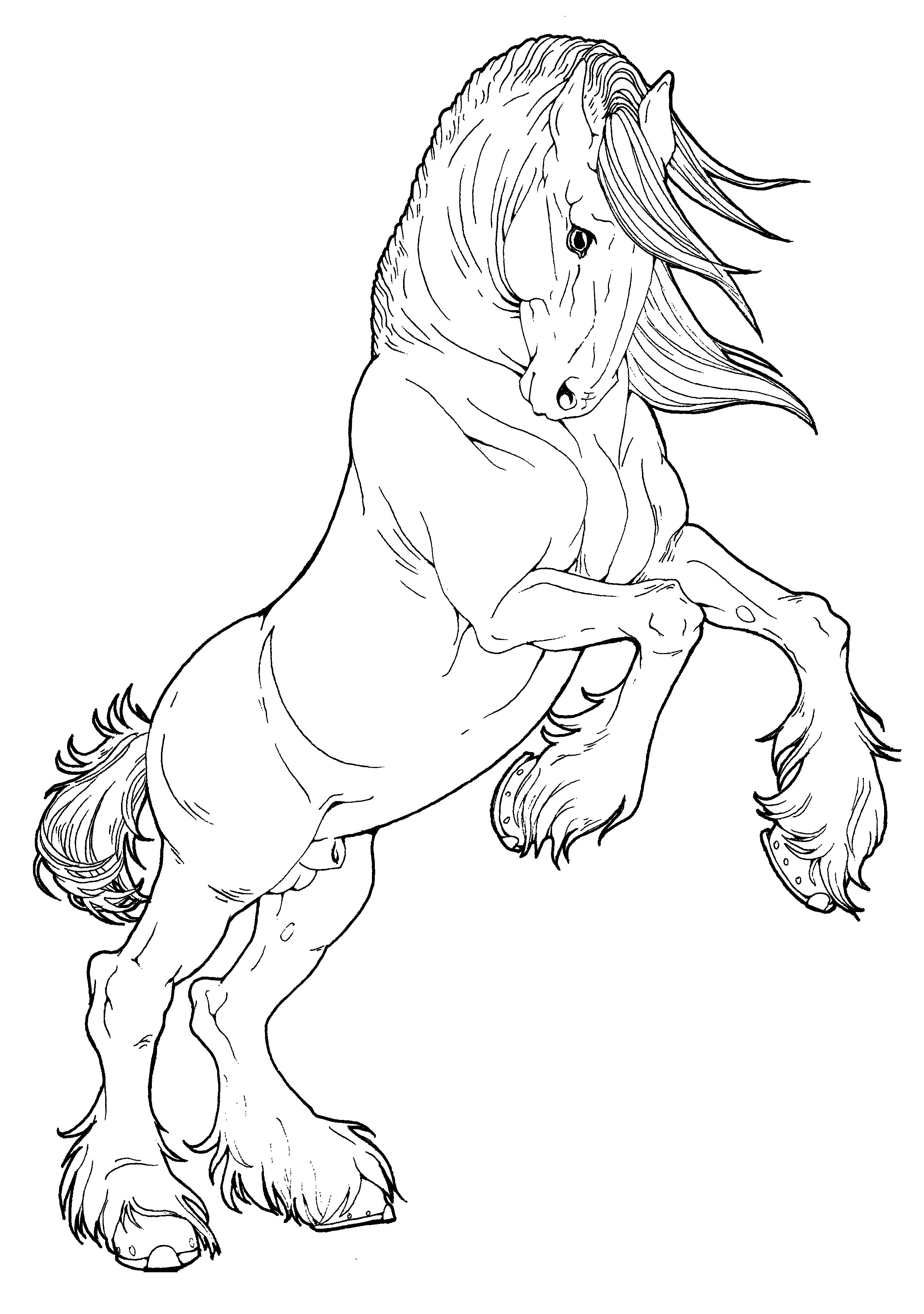 35 Free Horse Coloring Pages 1