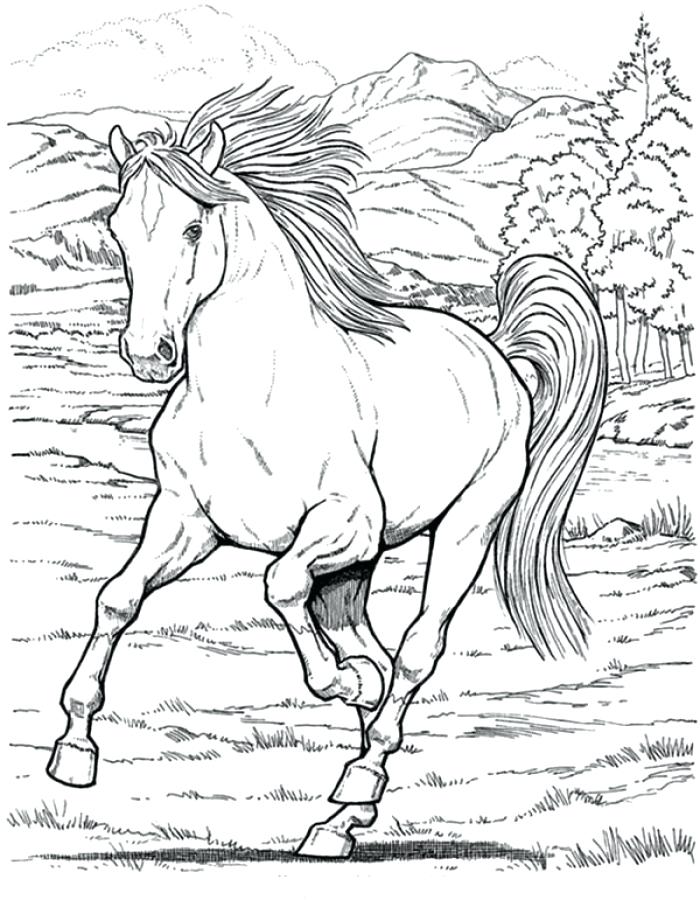 35 Free Horse Coloring Pages 11