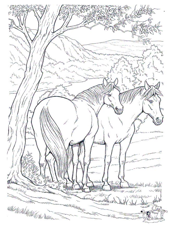 35 Free Horse Coloring Pages 14