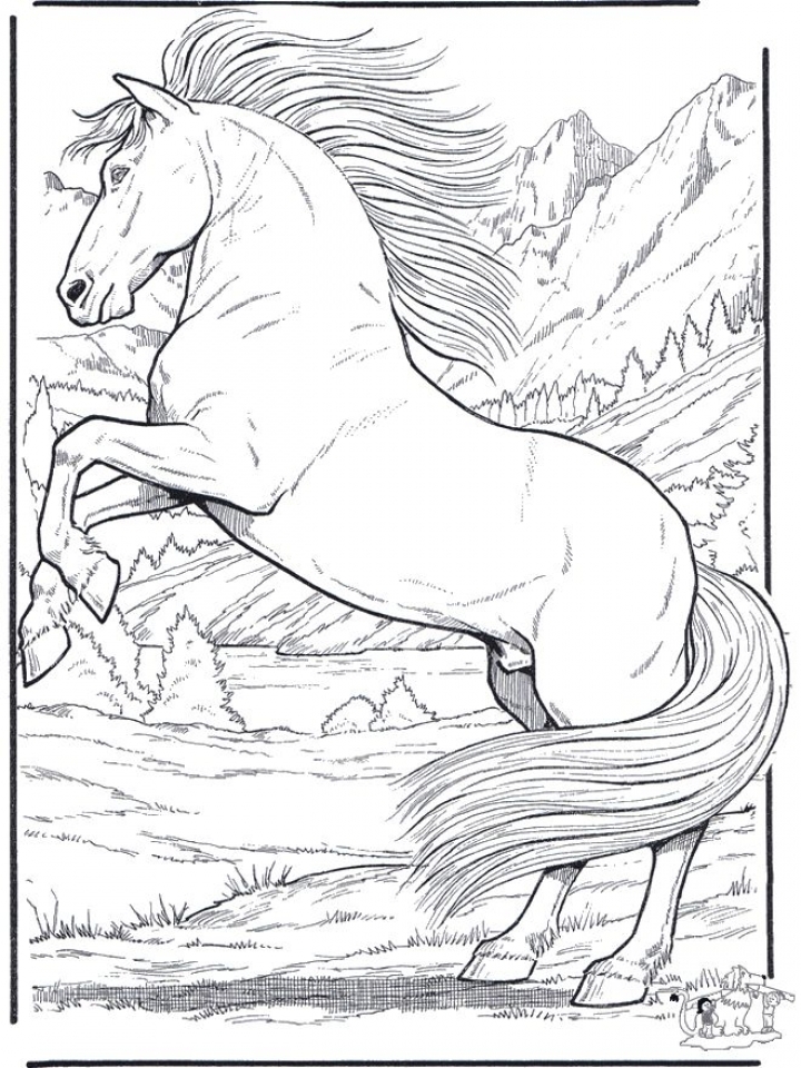 35 Free Horse Coloring Pages 15