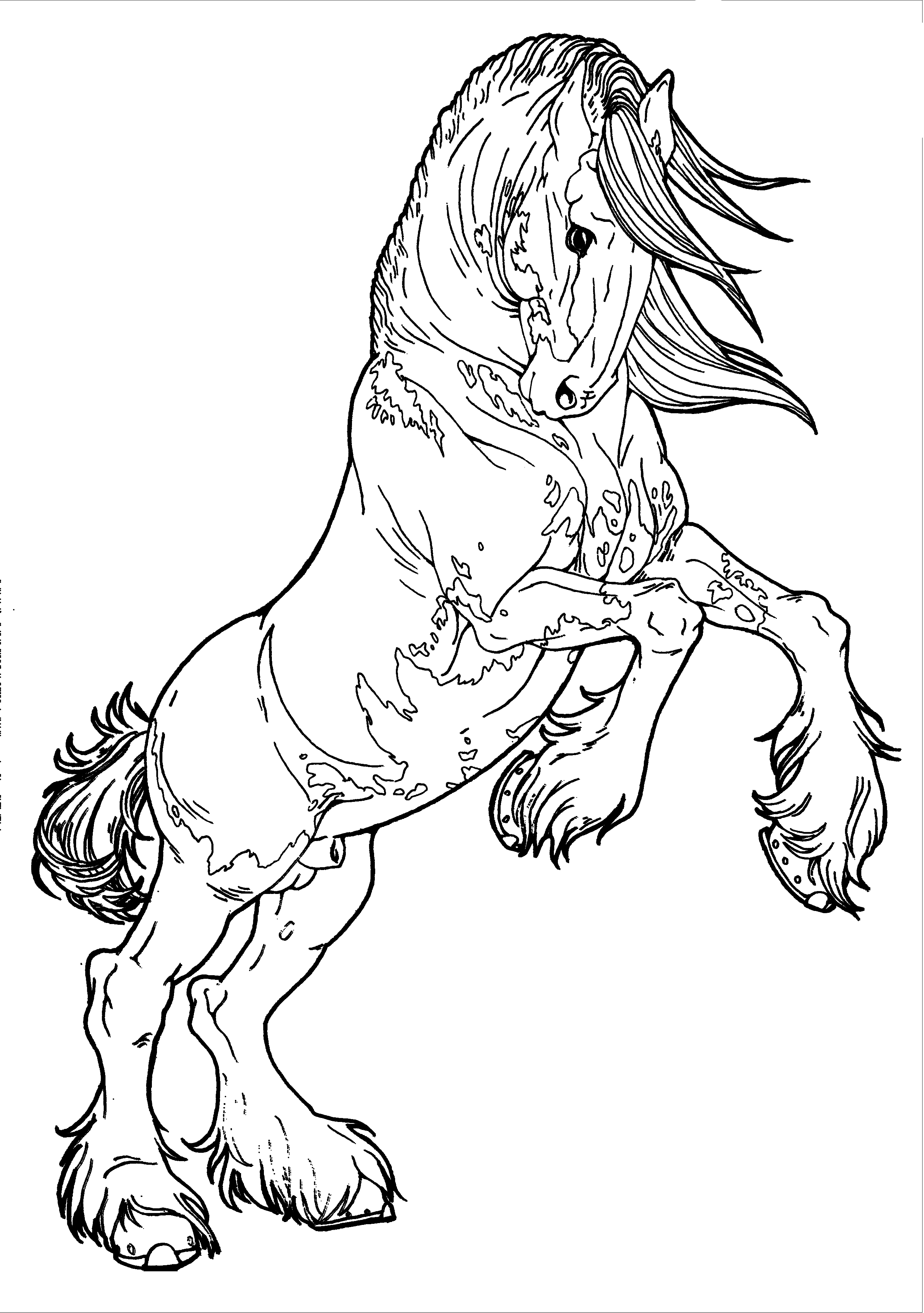 35 Free Horse Coloring Pages 16