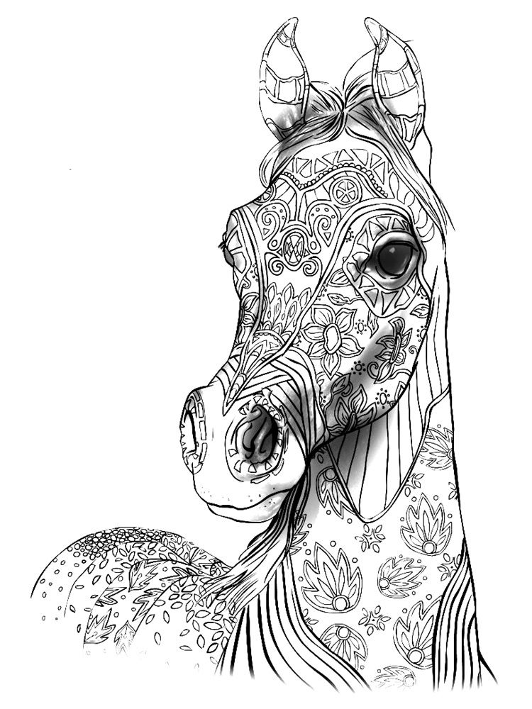 35 Free Horse Coloring Pages 21