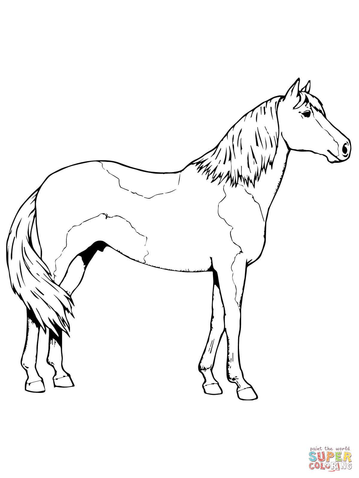 35 Free Horse Coloring Pages 24