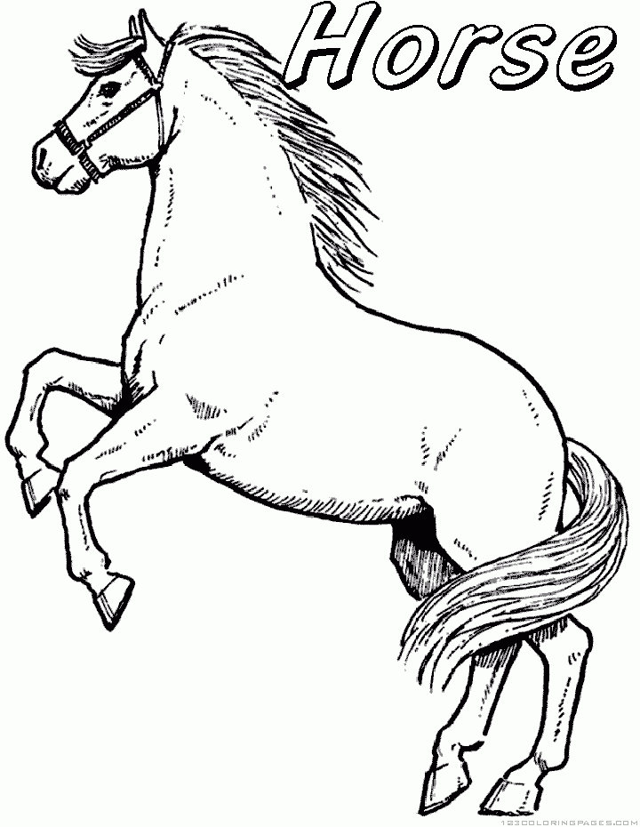 35 Free Horse Coloring Pages 25