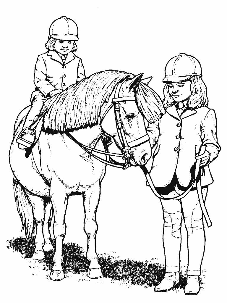 35 Free Horse Coloring Pages 27