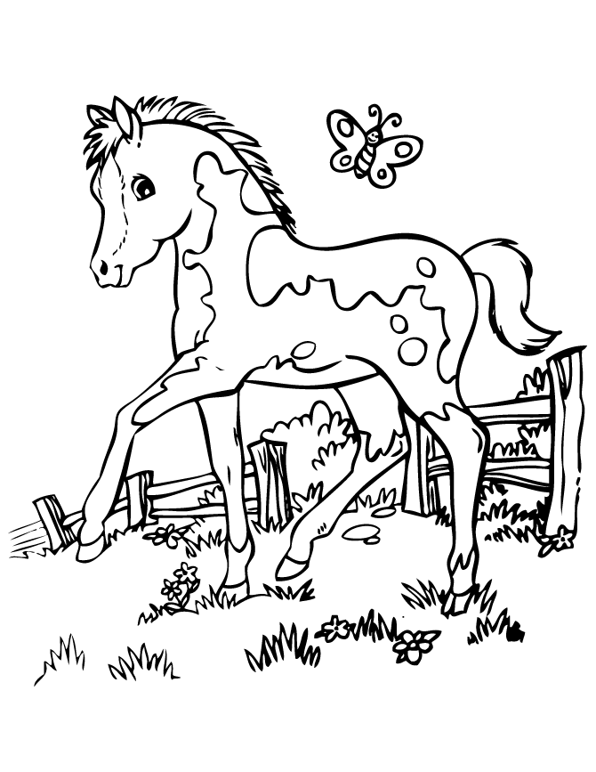 35 Free Horse Coloring Pages 4