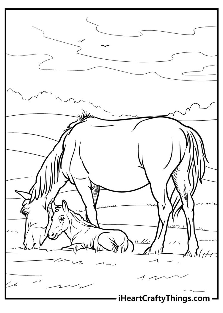 35 Free Horse Coloring Pages 61