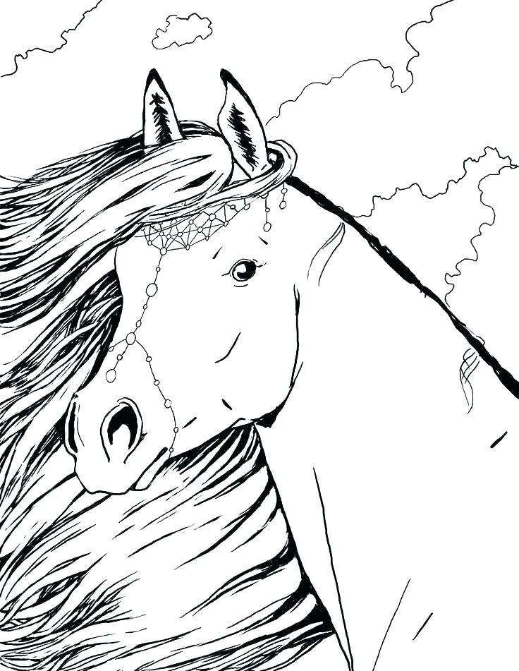 35 Free Horse Coloring Pages 62