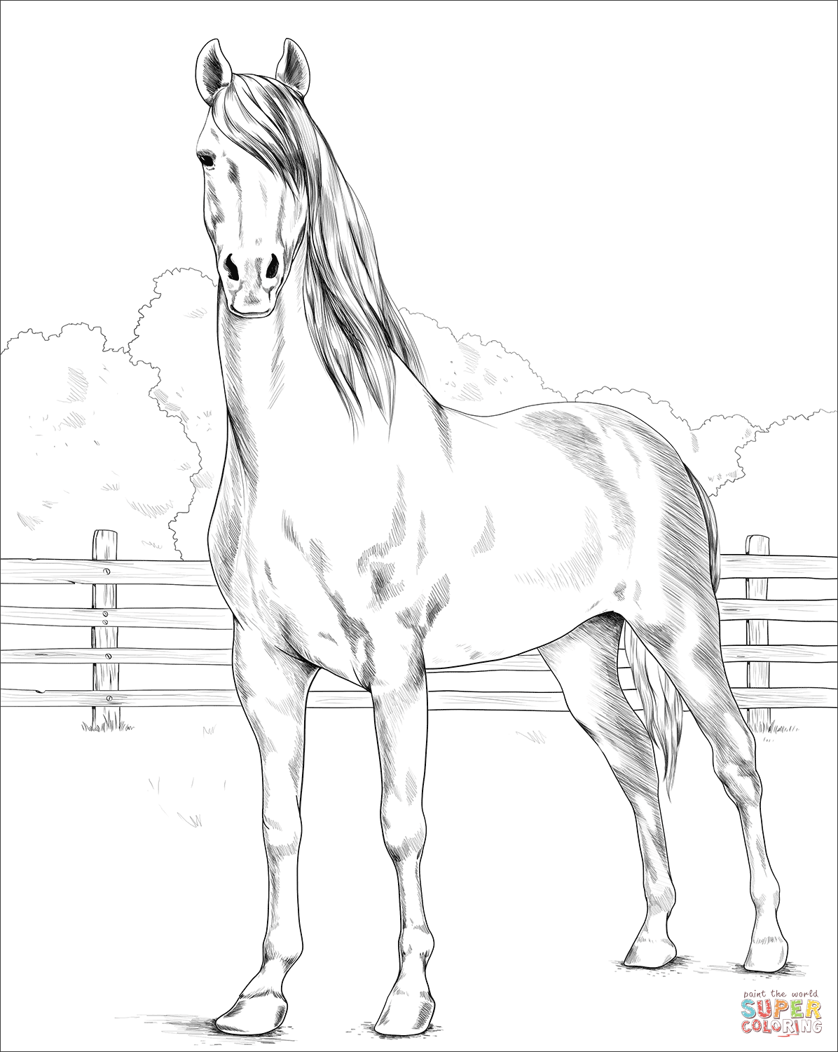 35 Free Horse Coloring Pages 64