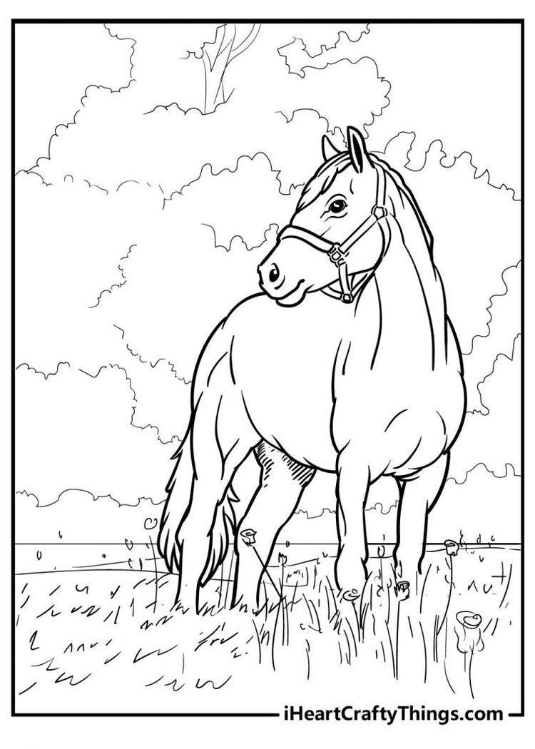 35 Free Horse Coloring Pages 65