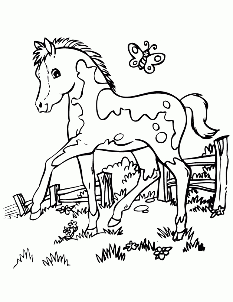 35 Free Horse Coloring Pages 7