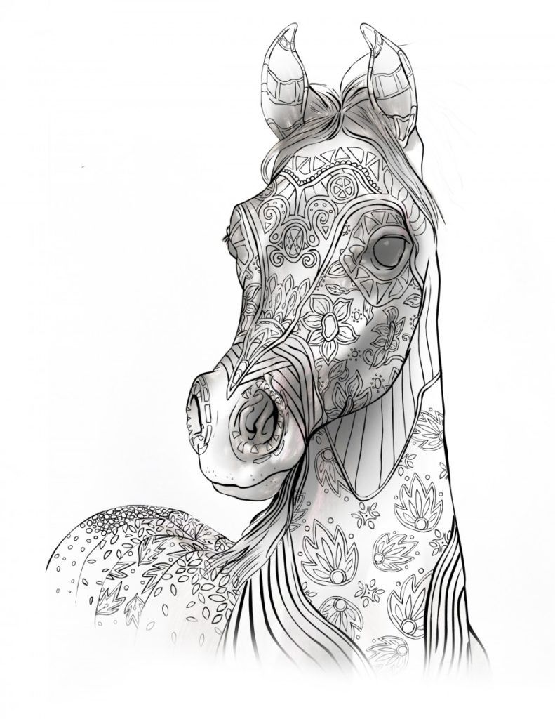 35 Free Horse Coloring Pages 8