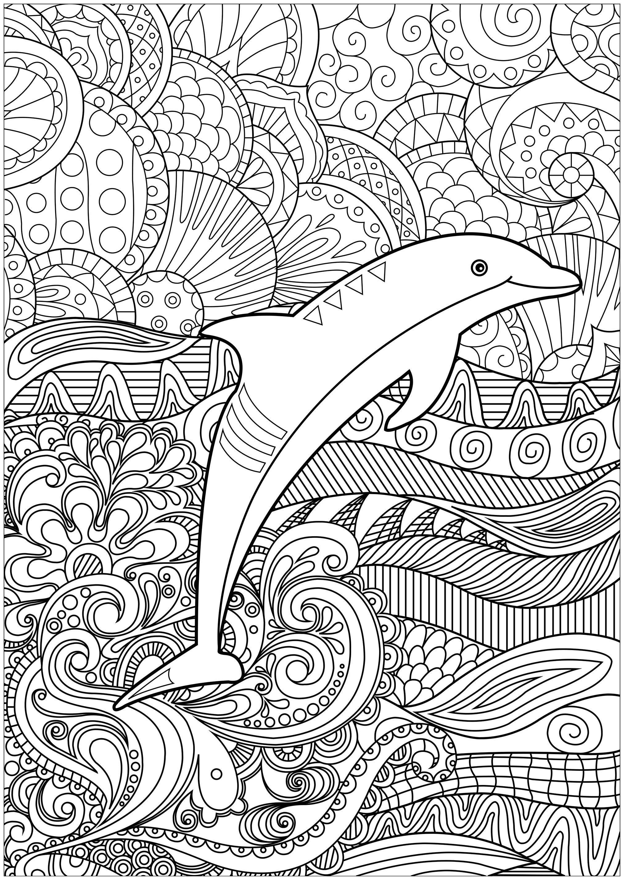 45 Dolphin Coloring Sheet 14