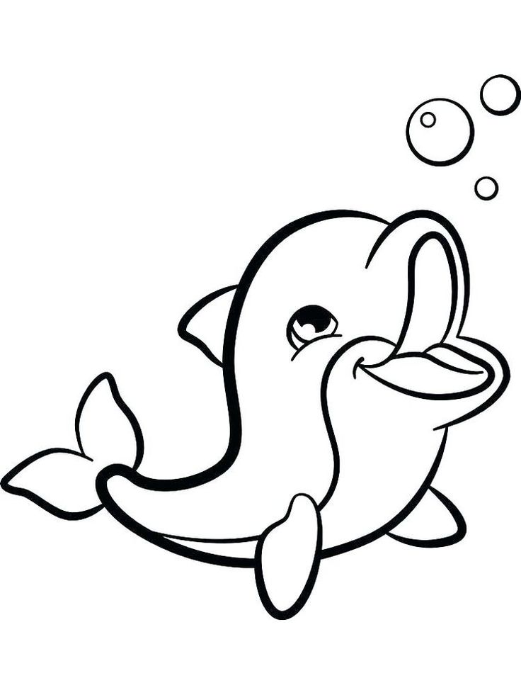 45 Dolphin Coloring Sheet 20