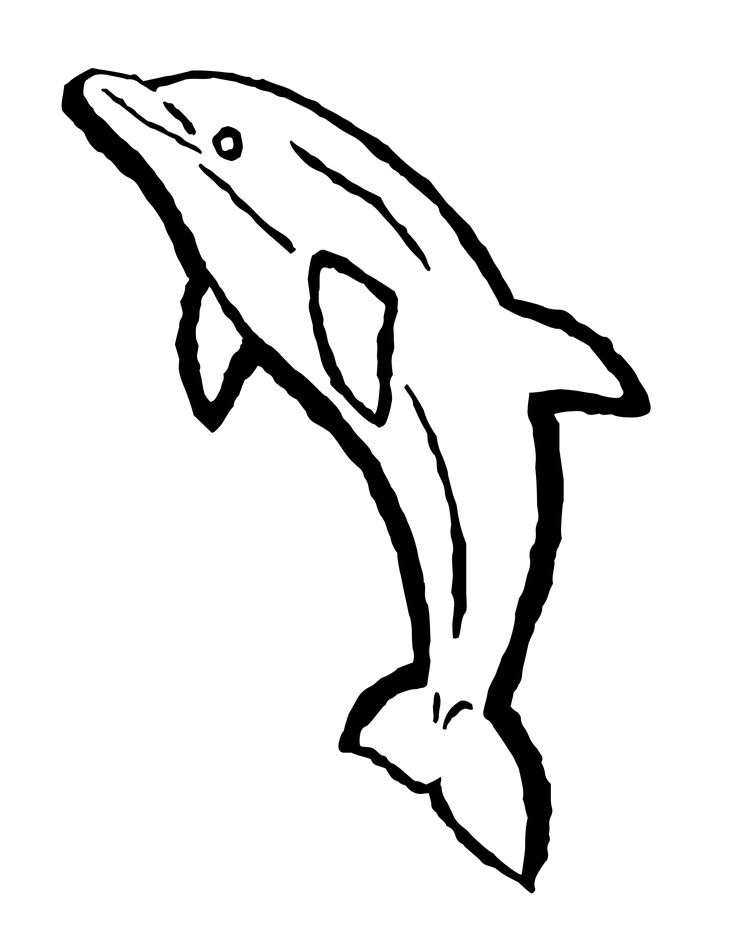 45 Dolphin Coloring Sheet 23