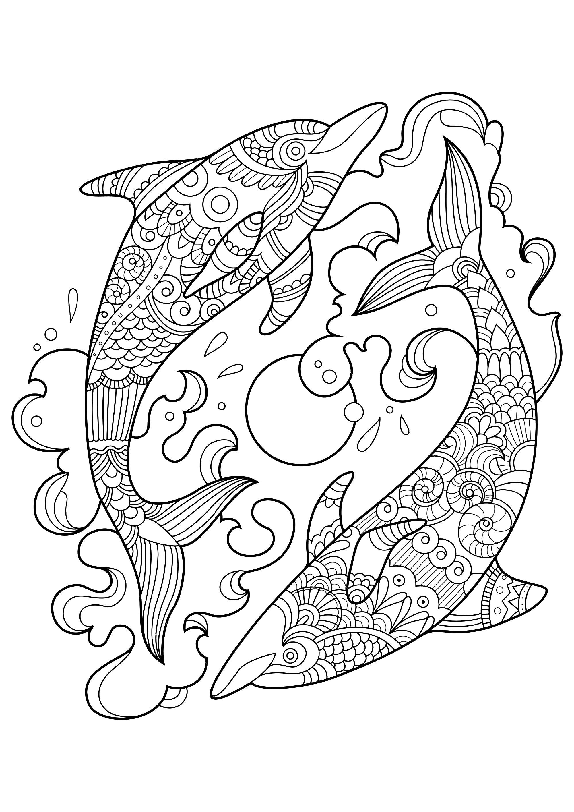 45 Dolphin Coloring Sheet 24