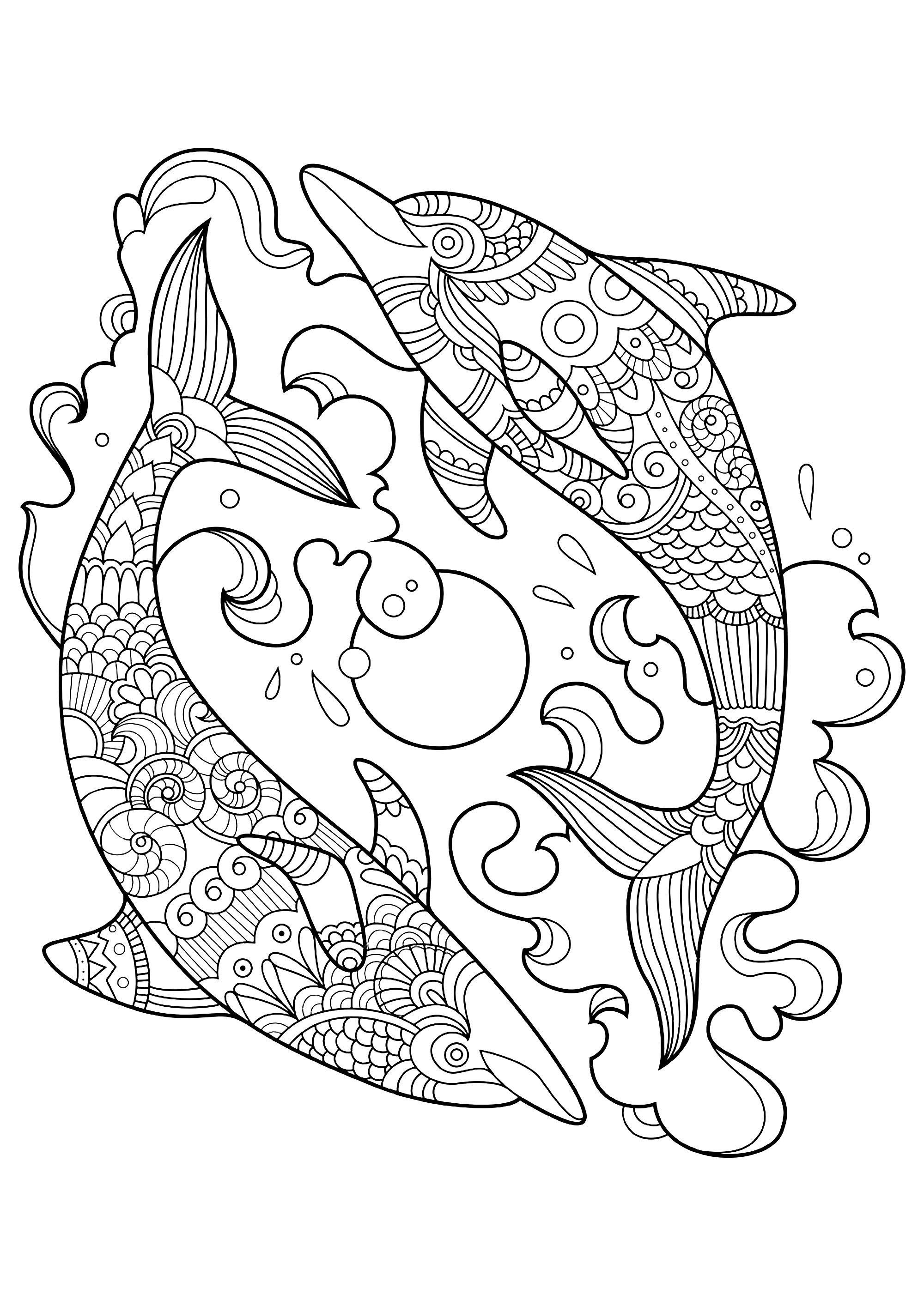 45 Dolphin Coloring Sheet 26