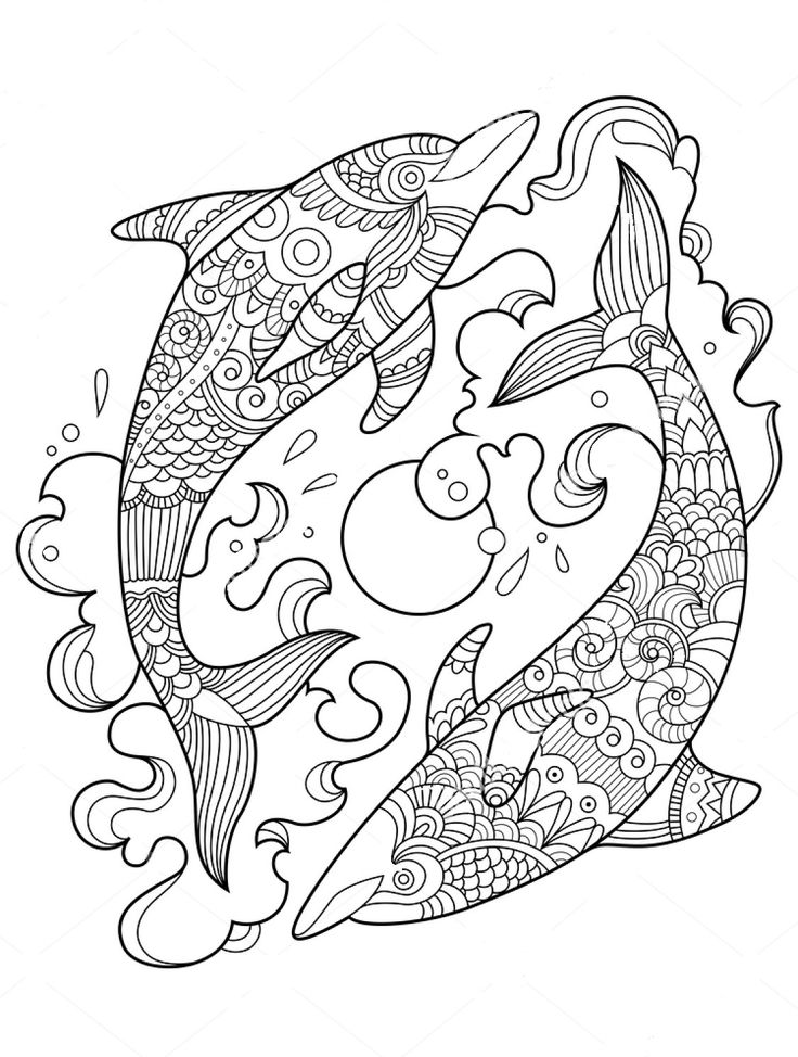 45 Dolphin Coloring Sheet 29