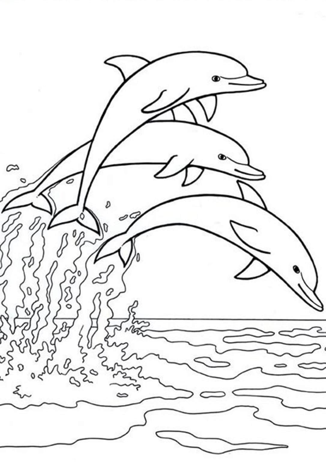 45 Dolphin Coloring Sheet 33