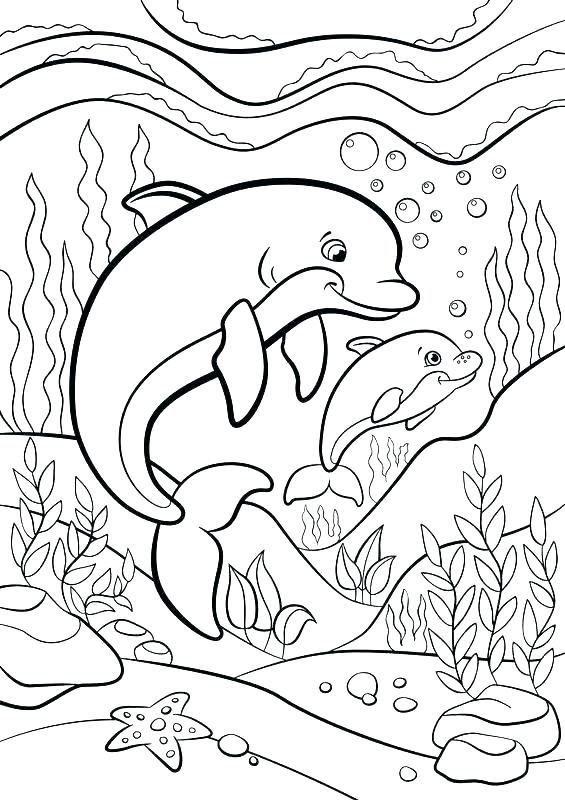 45 Dolphin Coloring Sheet 35