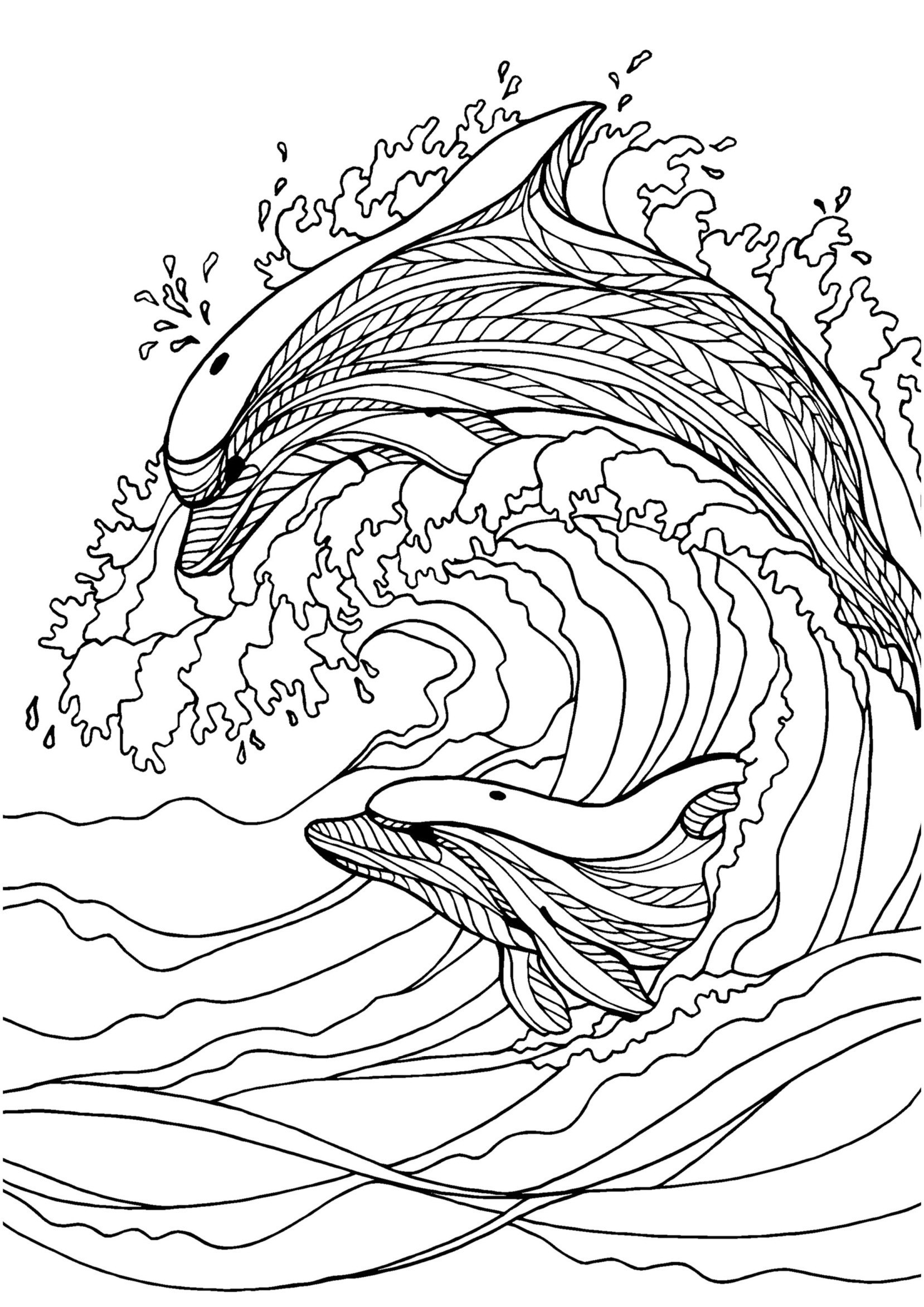 45 Dolphin Coloring Sheet 36