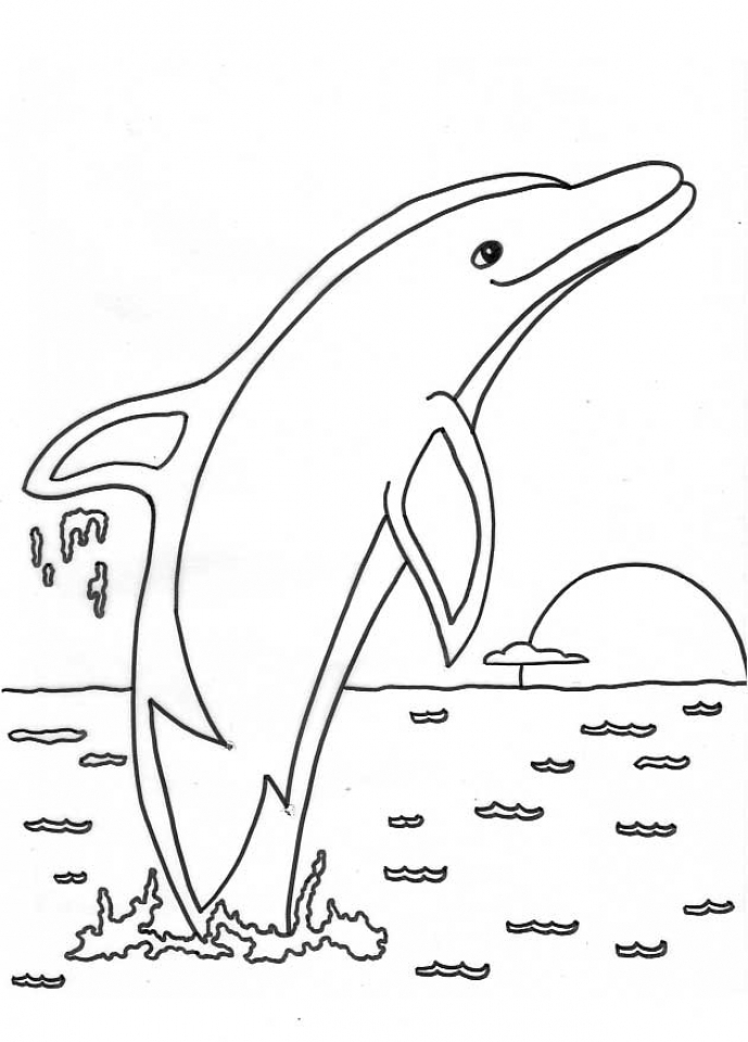 45 Dolphin Coloring Sheet 39