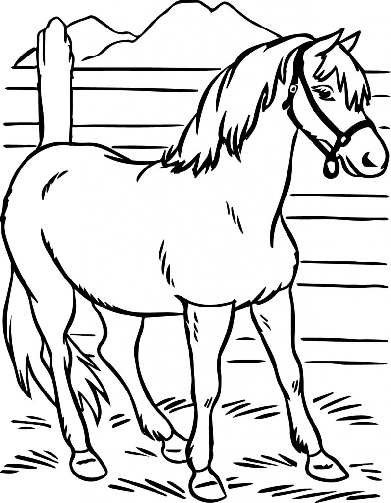 50 Coloring Pages Horse 23