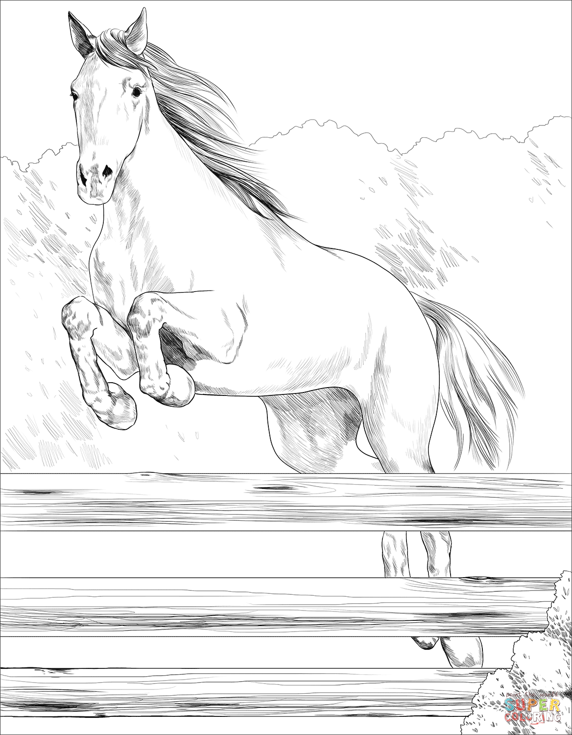 50 Coloring Pages Horse 35