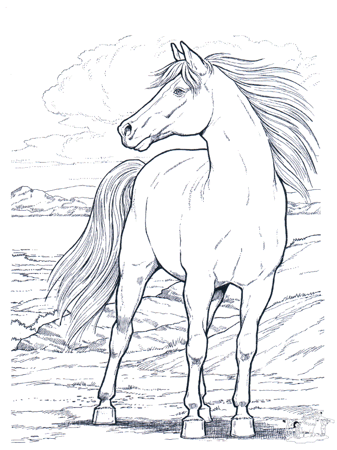 50 Coloring Pages Horse 36