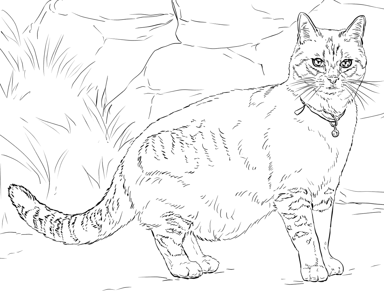 55 Cat Coloring Pages Realistic 17