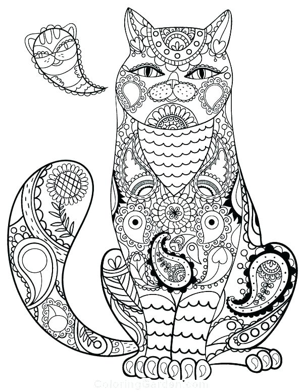 55 Cat Coloring Pages Realistic 18