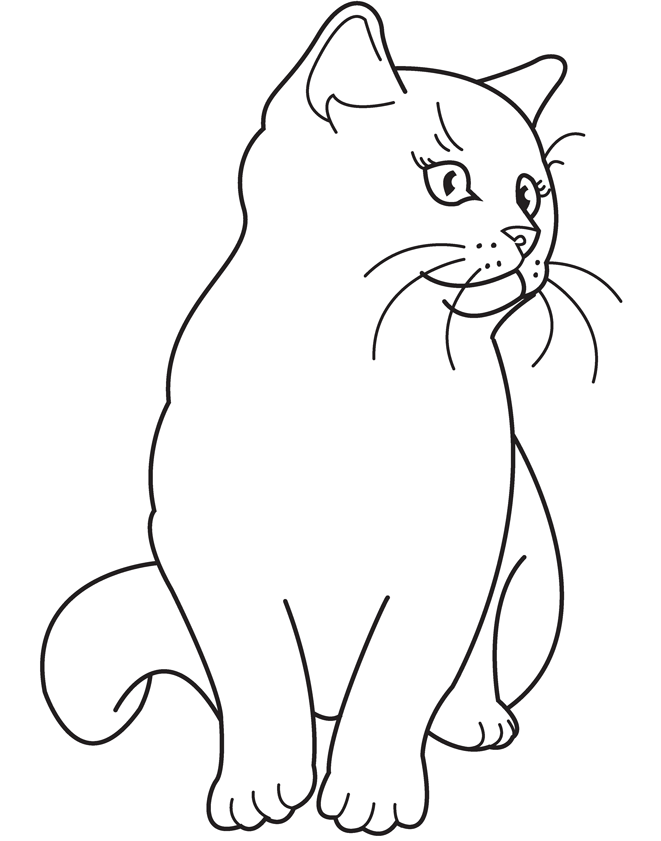 55 Cat Coloring Pages Realistic 59