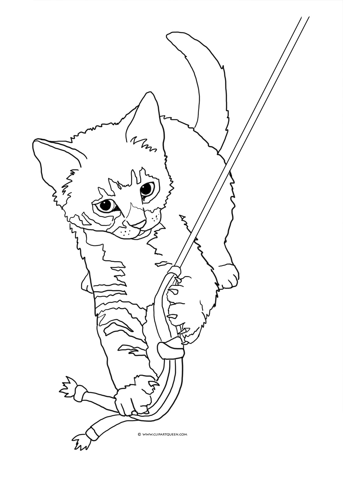 55 Cat Coloring Pages Realistic 60