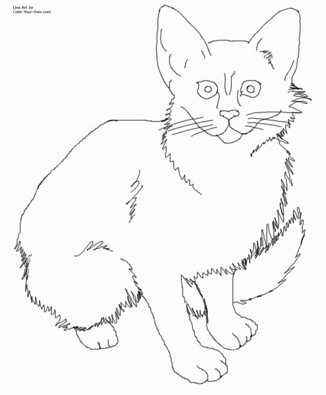 55 Cat Coloring Pages Realistic 61