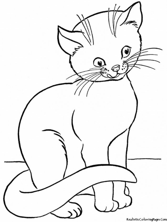 55 Cat Coloring Pages Realistic 62