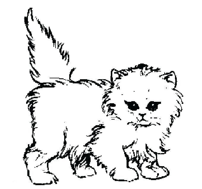 55 Cat Coloring Pages Realistic 69