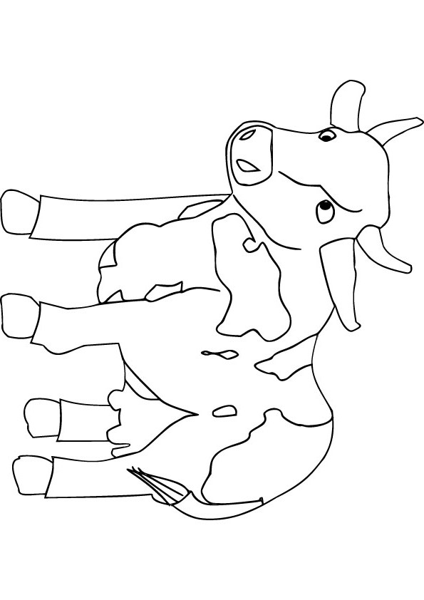 55 Coloring Pages For Cows 44