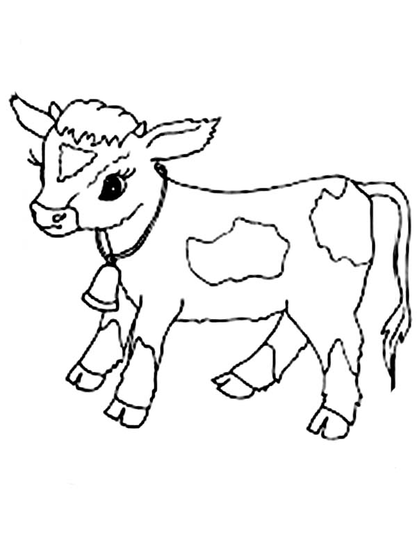 55 Coloring Pages For Cows 63