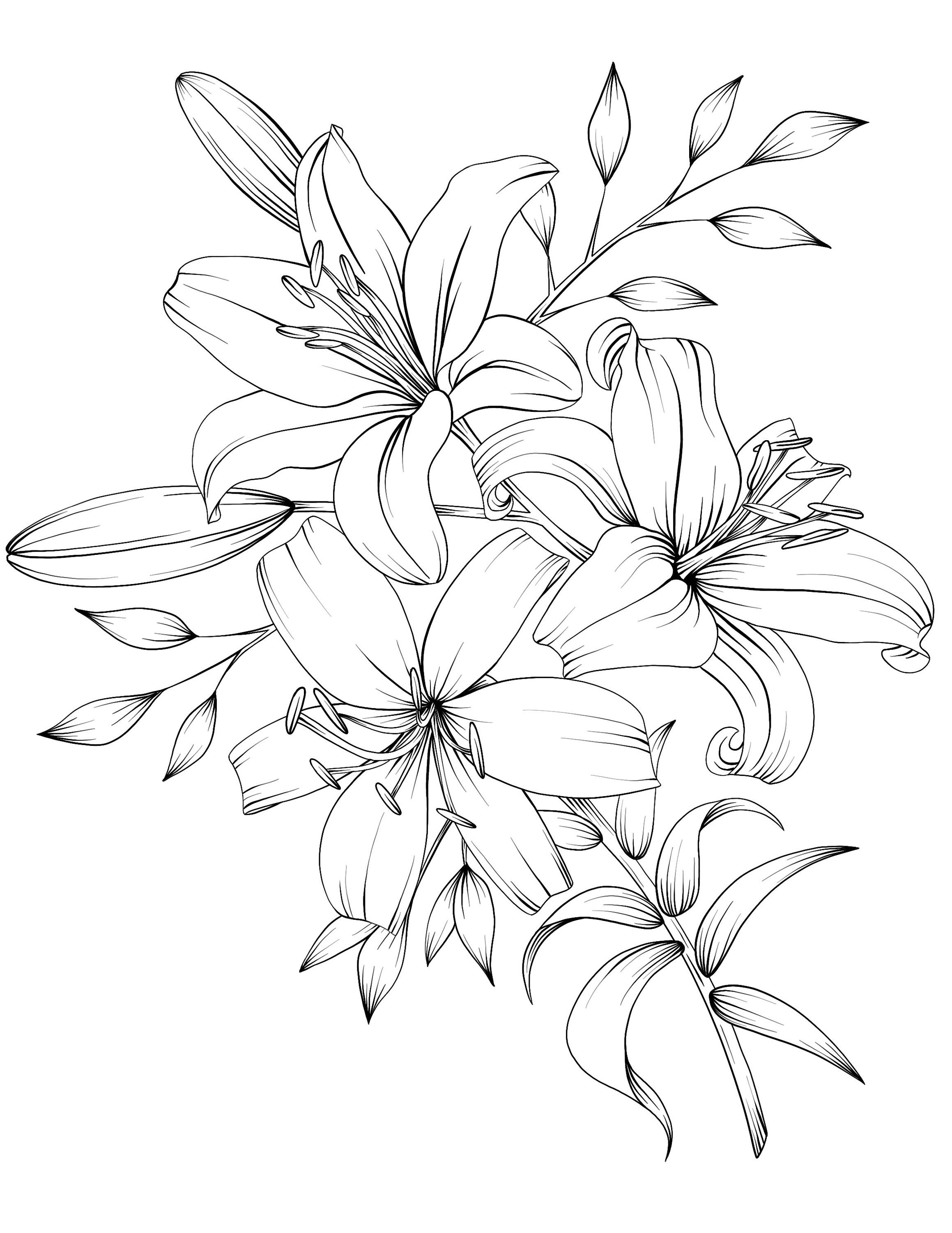 55 Realistic Flower Coloring Pages 1