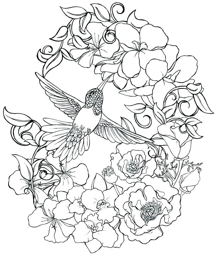 55 Realistic Flower Coloring Pages 11