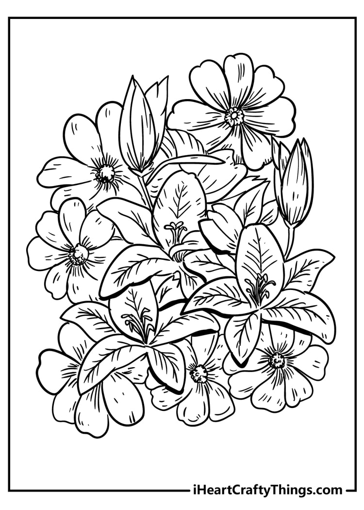 55 Realistic Flower Coloring Pages 45