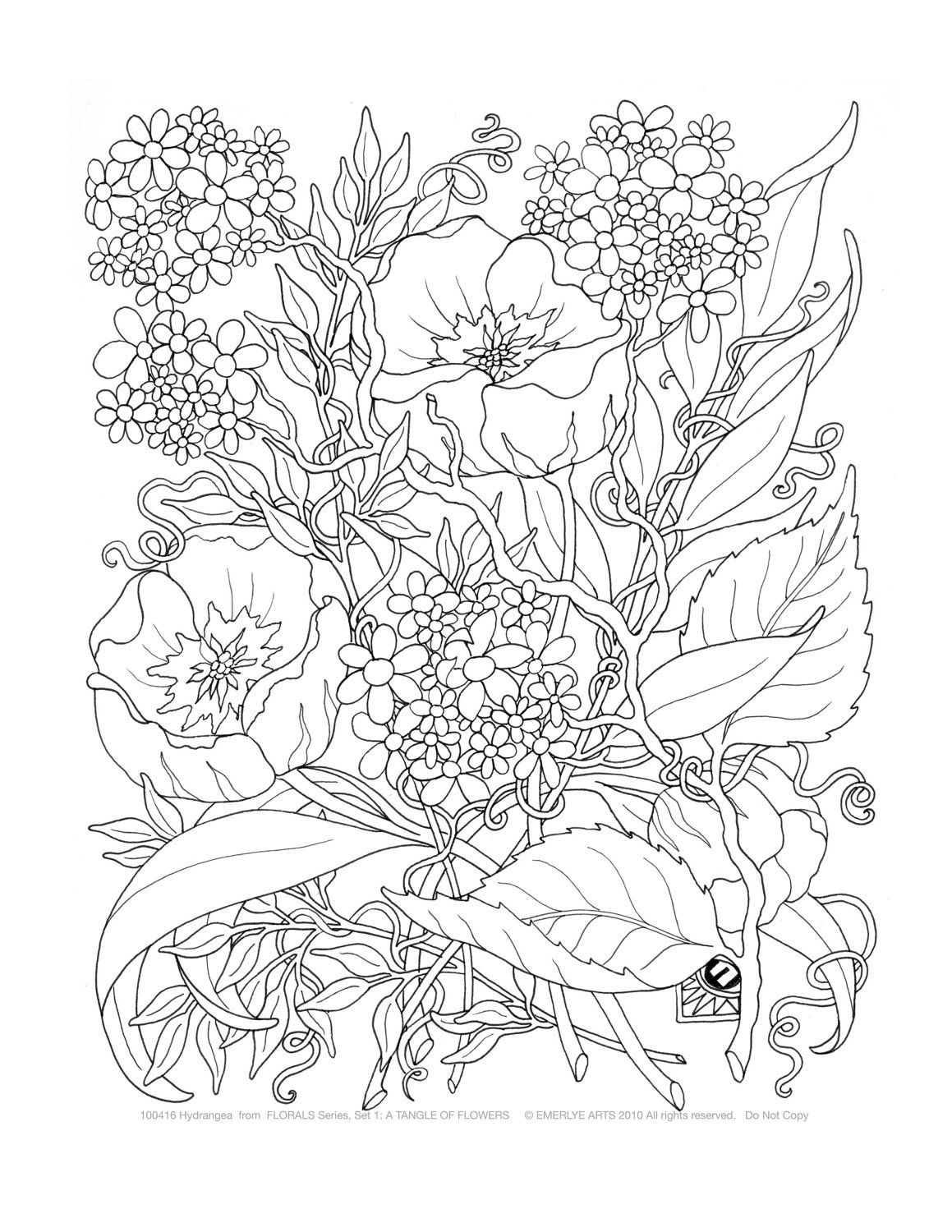 55 Realistic Flower Coloring Pages 47