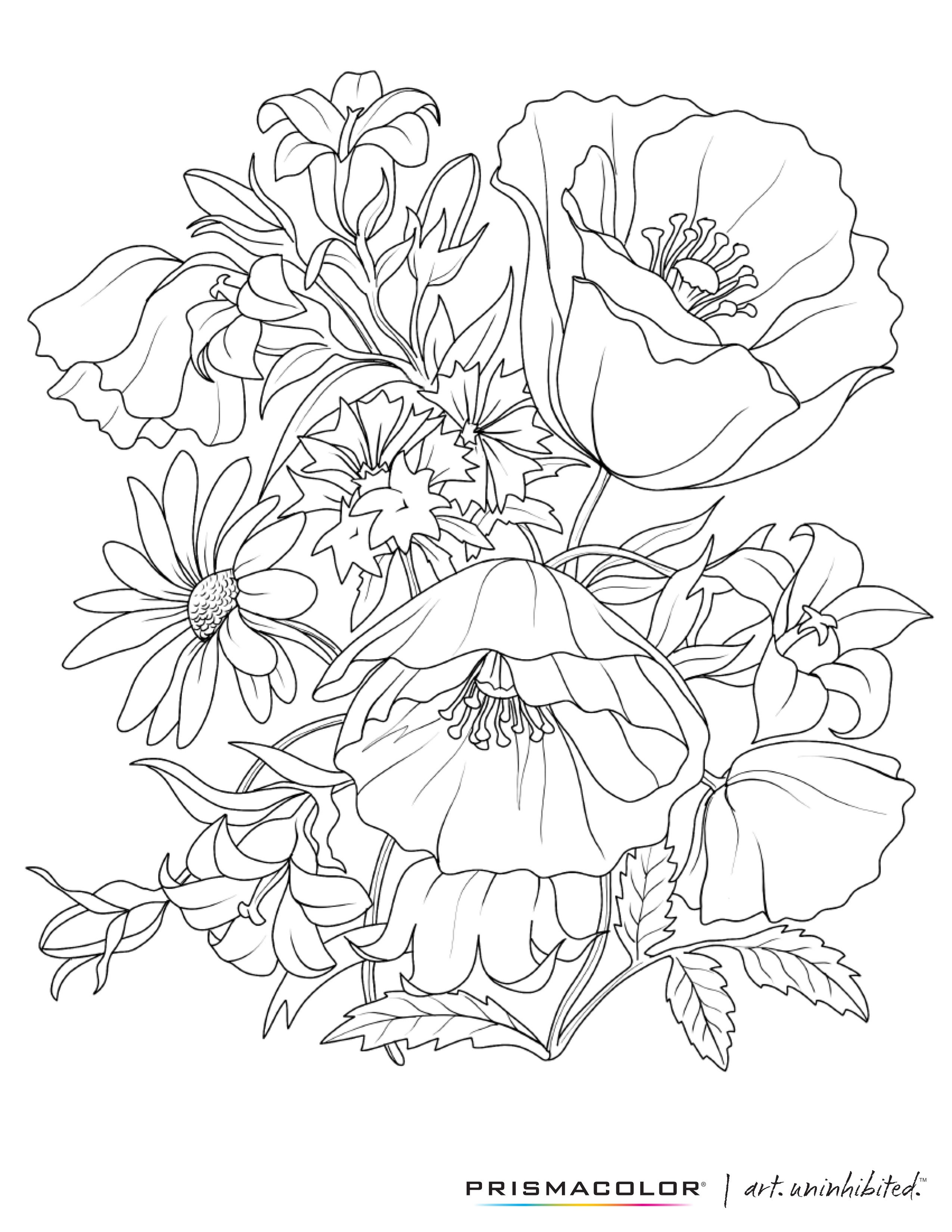 55 Realistic Flower Coloring Pages 49