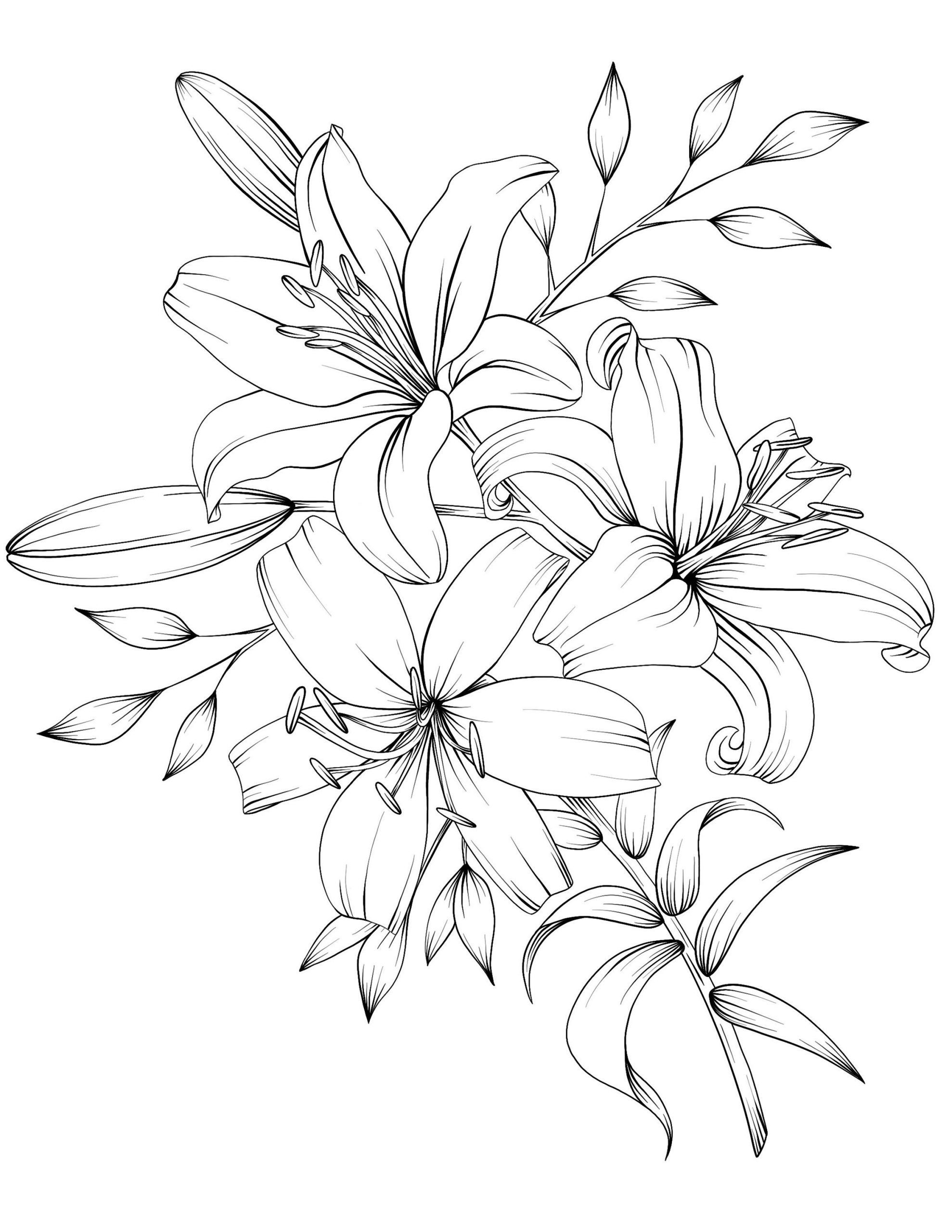 55 Realistic Flower Coloring Pages 5