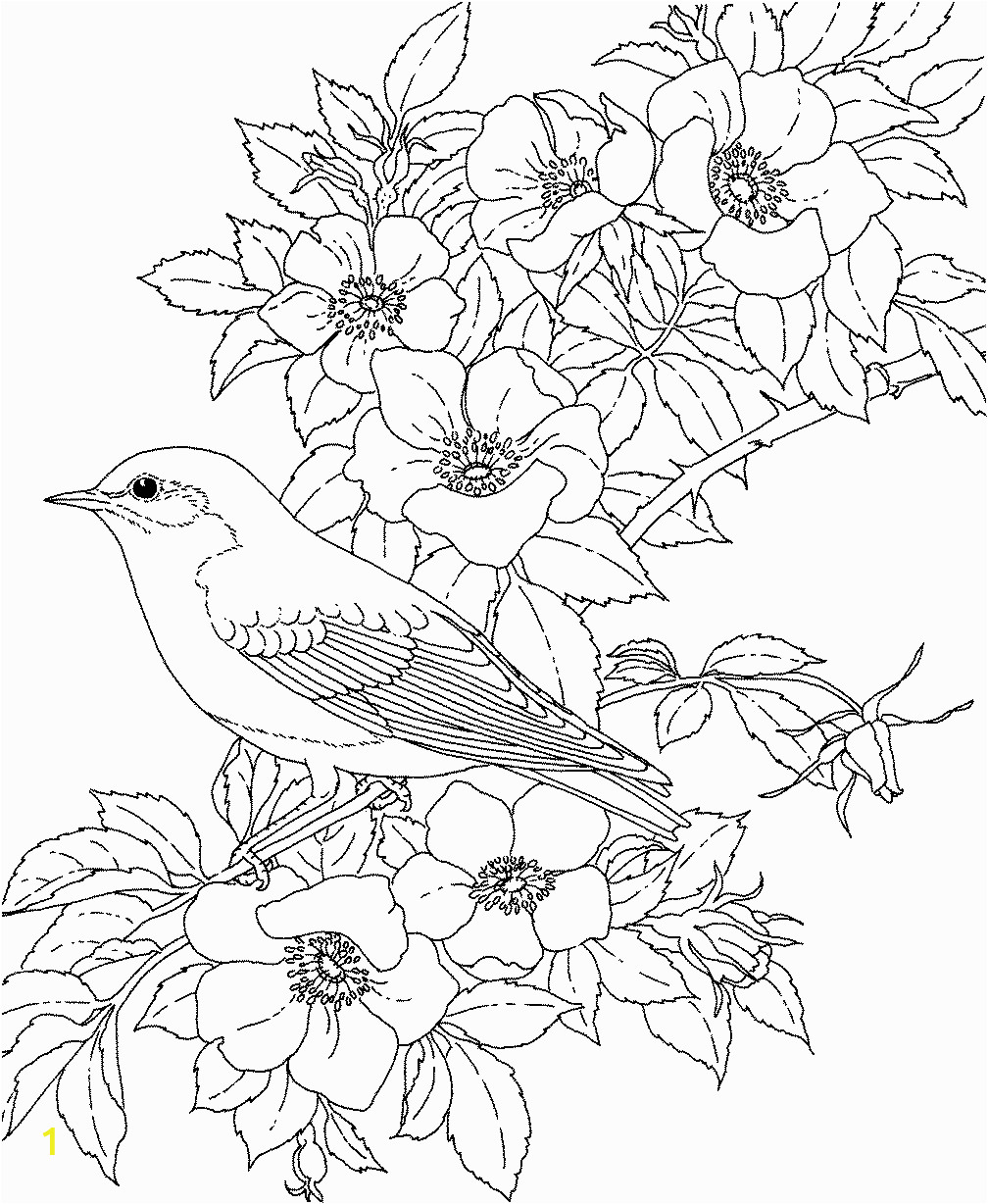 55 Realistic Flower Coloring Pages 9